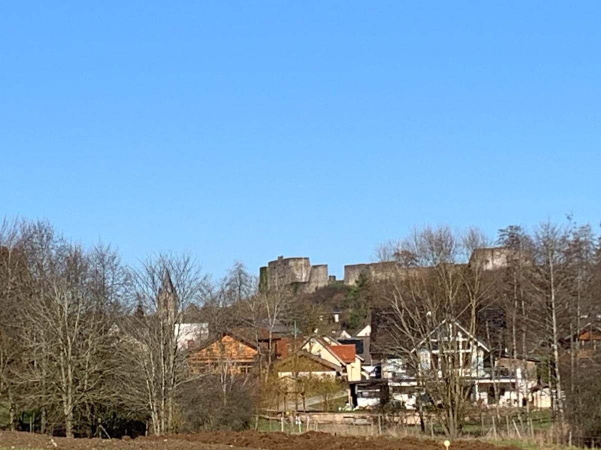 Ferienhaus Eifelstuben Mit Charme - Bauernstube Vulkaneifel - Naehe See Und Burgruine Ulmen Extérieur photo