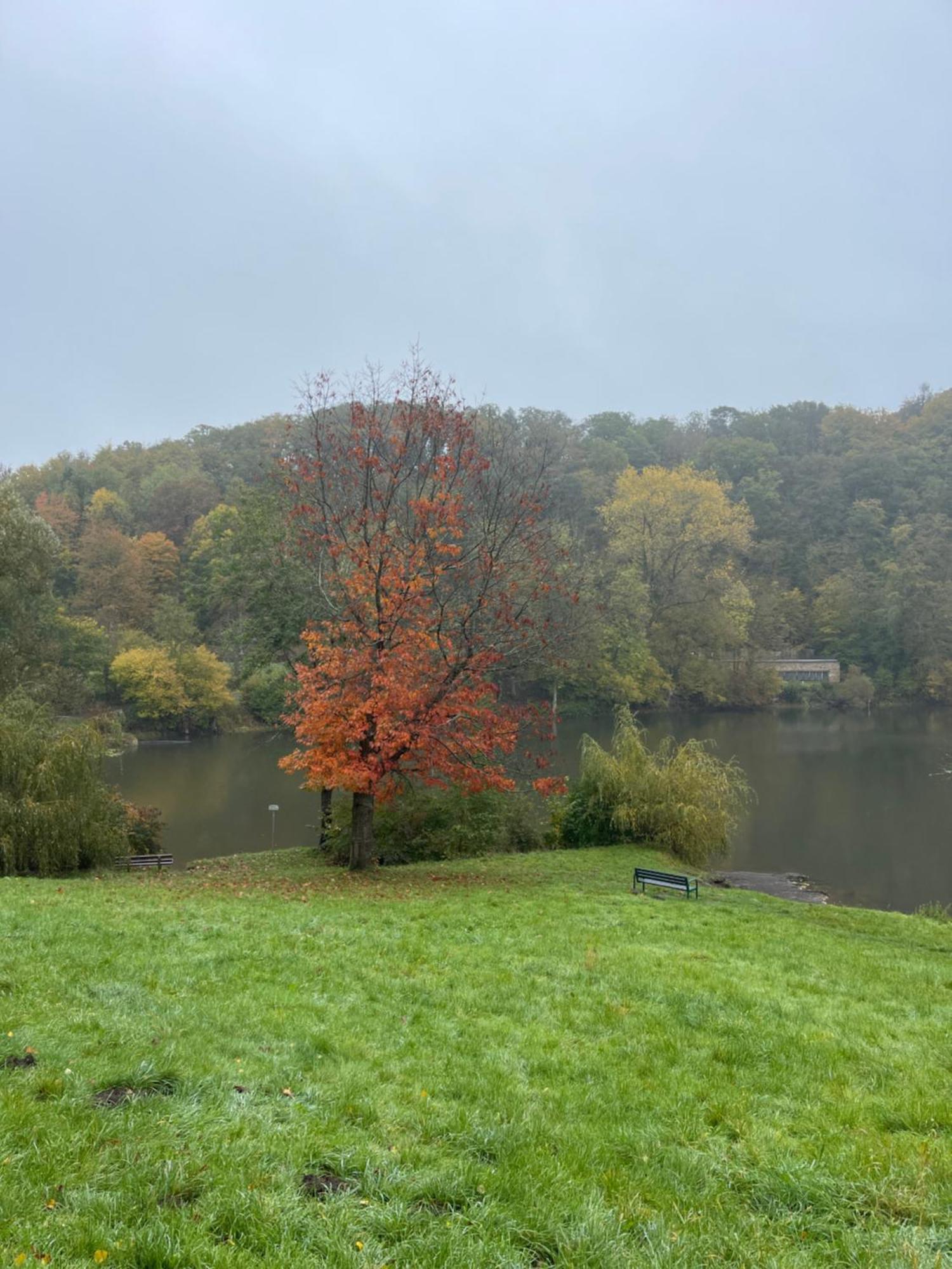 Ferienhaus Eifelstuben Mit Charme - Bauernstube Vulkaneifel - Naehe See Und Burgruine Ulmen Extérieur photo